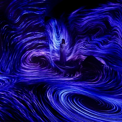TeamLab Phenomena